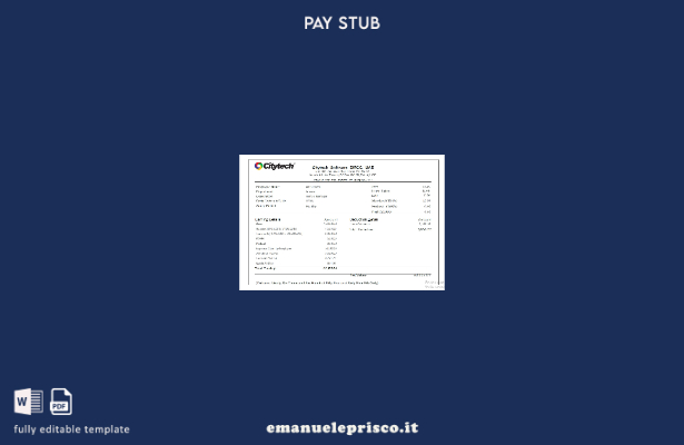 modello di busta paga DMCC del software UAE Citytech in stile verificato